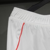 Player Version Bayern Munich 25/26 Away Authentic Shorts