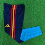 Player Version Spain 2026 Pro Training Pants