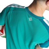 Player Version Northern Ireland 2026 Home Authentic Jersey