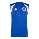 Thai Version Cruzeiro 2026 Training Sleeveless Jersey