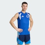 Thai Version Cruzeiro 2026 Training Sleeveless Jersey