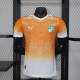 Player Version Ivory Coast 2026 Special Authentic Jersey