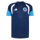 Thai Version Cruzeiro 2026 Training Jersey