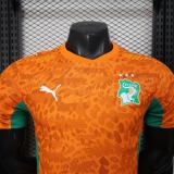 Player Version Ivory Coast 2026 Home Authentic Jersey