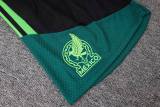 Player Version Mexico 2026 Sleeveless Training Pro Kit