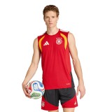 Player Version Germany 2026 Sleeveless Training Pro Kit