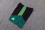 Player Version Mexico 2026 Sleeveless Training Pro Kit