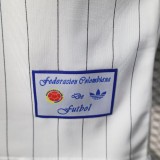 Thai Version Colombia 2026 Terrace Icons Jersey