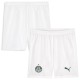 Thai Version Palmeiras 26/27 Home Shorts