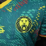 Player Version Cameroon 2026 Special Authentic Jersey
