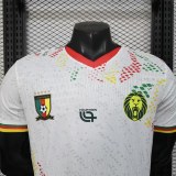 Player Version Cameroon 2026 Special Authentic Jersey
