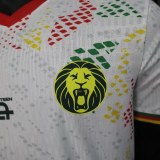 Player Version Cameroon 2026 Special Authentic Jersey