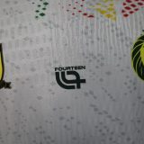 Player Version Cameroon 2026 Special Authentic Jersey