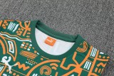 Cote d'Ivoire 25/26 Sleeveless Jersey and Shorts Set