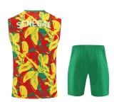 Senegal 25/26 Sleeveless Jersey and Shorts Set