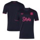 Thai Version Everton 25/26 Fourth Jersey