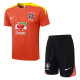 Brazil 25/26 Training Shirt and Shorts Set D25271