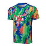Brazil 25/26 Training Shirt and Shorts Set D25267