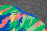 Brazil 25/26 Training Shirt and Shorts Set D25267