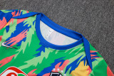 Brazil 25/26 Training Shirt and Shorts Set D25267