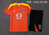 Brazil 25/26 Training Shirt and Shorts Set D25271