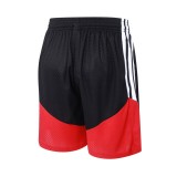 Player Version Germany 2026 Training Pro Shorts