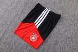 Player Version Germany 2026 Training Pro Shorts