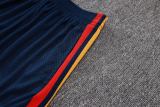 Player Version Spain 2026 Training Pro Shorts