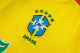 Brazil 25/26 Training Shirt and Shorts Set D25254