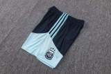 Player Version Argentina 2026 Training Pro Shorts