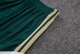 Player Version Italy 2026 Training Pro Shorts