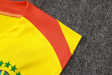 Brazil 25/26 Sleeveless Jersey and Shorts Set D25250