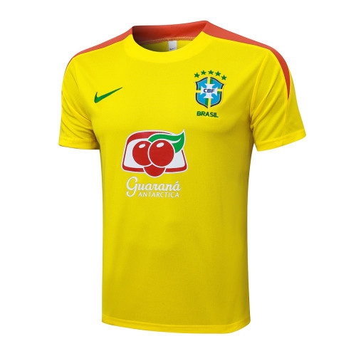 Brazil 25/26 Training Shirt and Shorts Set D25254