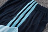 Player Version Argentina 2026 Training Pro Shorts