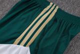 Player Version Italy 2026 Training Pro Shorts