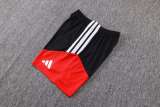 Player Version Germany 2026 Training Pro Shorts