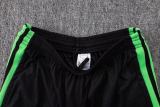 Player Version Mexico 2026 Training Pro Shorts