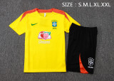 Brazil 25/26 Training Shirt and Shorts Set D25254