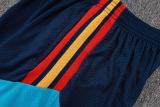 Player Version Spain 2026 Training Pro Shorts