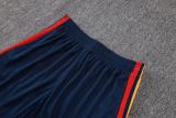 Player Version Spain 2026 Training Pro Shorts
