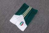 Player Version Italy 2026 Training Pro Shorts