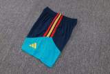 Player Version Spain 2026 Training Pro Shorts