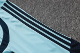 Argentina 26/27 Half-Zip Training Top and Pants Set B26005