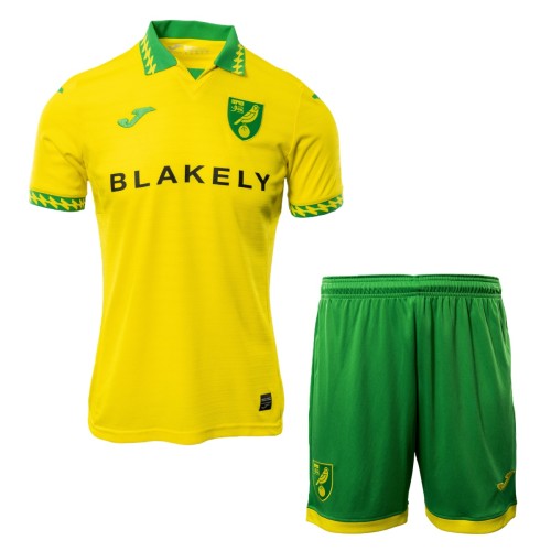 Norwich City 25/26 Home Jersey and Short Kit