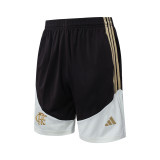 Flamengo 26/27 Sleeveless Jersey and Shorts Set D26010