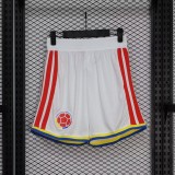 Player Version Colombia 2026 Home Authentic Shorts
