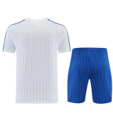 Chelsea 26/27 Terrace Icons Kit
