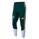 Player Version Italy 26/27 1/4 Zip Training Pro Polo and Pants Set D2603