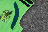 Player Version Mexico 26/27 Sleeveless Jersey and Pants Set D2603