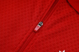Player Version Germany 26/27 1/4 Zip Training Pro Polo and Pants Set D2603